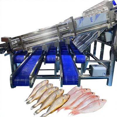 良い値段 魚類を分類する機械 魚類を分類する機械 魚類を分類する機械 オンライン