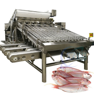 良い値段 高容量魚類分類機 4.9KW 2 T/H 海魚類分類機 魚類分類ライン ゾリム魚類サイズ装置 オンライン