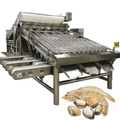 良い値段 ステンレス・スティール エビの分類装置 安定した抗侵食 4.9KW エビのサイジング 機械 エビの自動分類機 オンライン