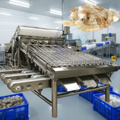 良い値段 産業用キャベツの分類機 キャベツの加工用 防水キャベツの分類機 自動キャベツのサイジング機 オンライン