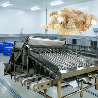 良い値段 耐久性 ローラー エビ グレード マシン 1500kg-2000kg/H ローラー エビ  сорター 高安定 ローラー エビ サイズ マシン 海産物 オンライン