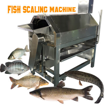 良い値段 鋼鉄製の魚加工機器 魚のスケールを剥がす機械 魚のスケールを切る機器 電気のスケール除去機械 オンライン