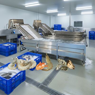 良い値段 ゾリム 魚類用泡洗濯機 2.2kw 魚類清掃機 スマート エビ洗濯機 海鮮加工工場 オンライン