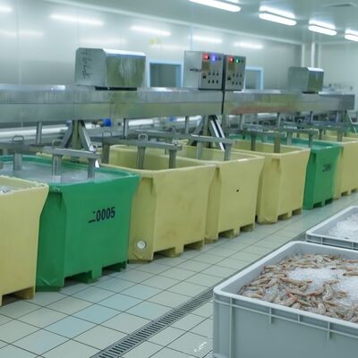 良い値段 魚加工用シーフードブレンダー 魚に最適な浸漬機 水産加工場用ゾリムシュリンプブレンダー オンライン