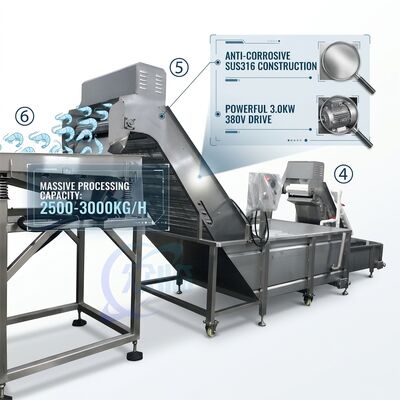 良い値段 Heavy Duty Shrimp Deheading Production Line Precision SUS316 1000-1500KG 11.7KW 415V オンライン