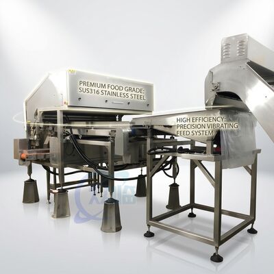良い値段 Stainless Steel Shrimp Head Removal Machine SUS316L 500-800KG 5.5KW 60Hz For Shrimp Processing Plant オンライン