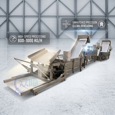 良い値段 SUS316 Shrimp Deheading System Food Grade SUS304 800-1000KG 3.0KW 415V For Fish Processing Plant オンライン