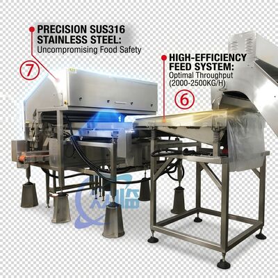 良い値段 Rugged Shrimp Head Separator SUS304 Stainless Steel 800-1000KG 15KW 440V For Shrimp Processing Plant オンライン