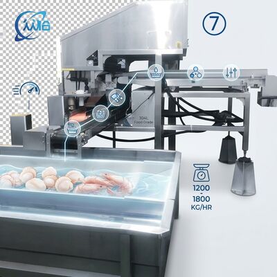 良い値段 High Output Shrimp Processing Machine Hygienic SUS304 500-800KG 0.8KW 220V For Seafood Export Company オンライン