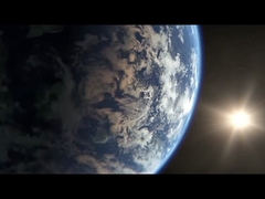 自動魚分類機 魚のサイズ分類機