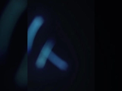 飼育されたガリガリの収穫 急速な分類とサイズ仕様機械